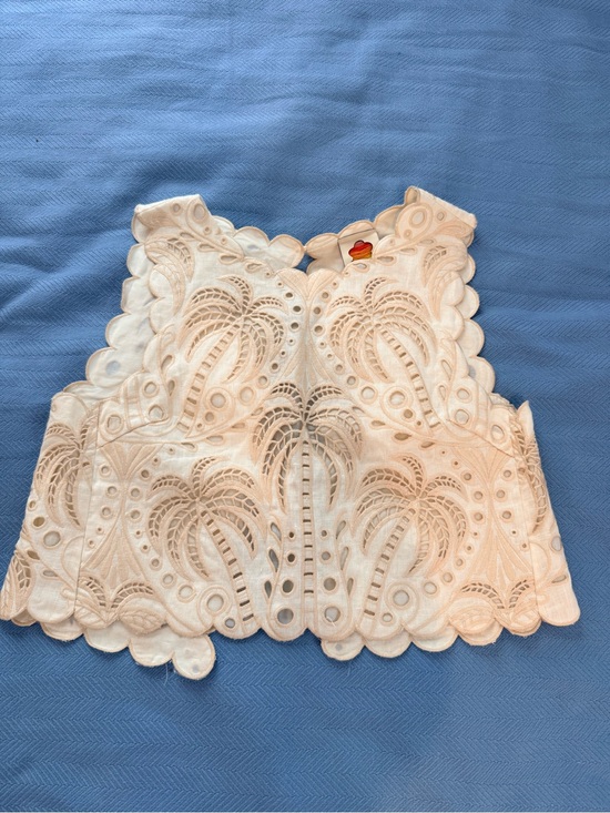 FARM Rio Tops - NWOT FARM Rio White Eyelet Scalloped Cropped Camisole